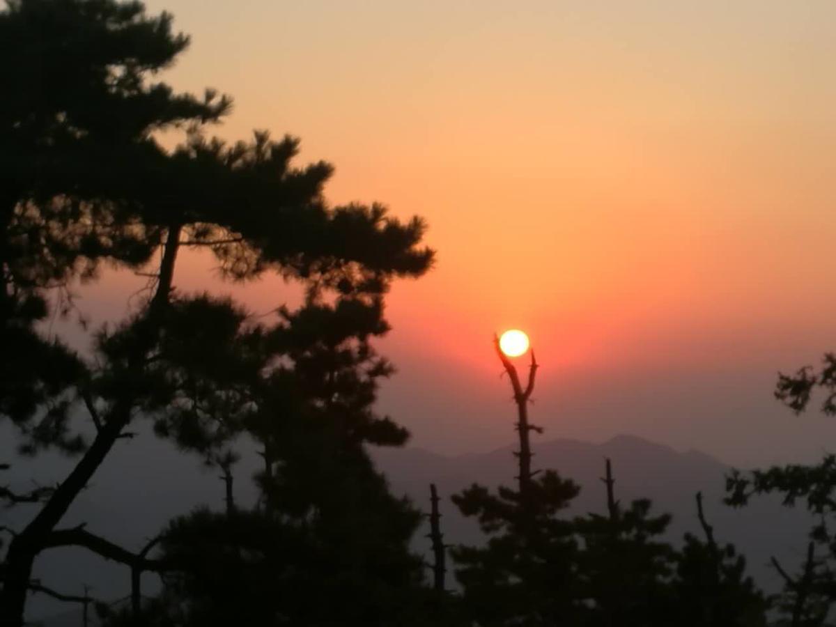Mogan Mountain Xiaomusensen Villa Deqing Екстериор снимка
