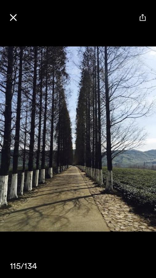 Mogan Mountain Xiaomusensen Villa Deqing Екстериор снимка