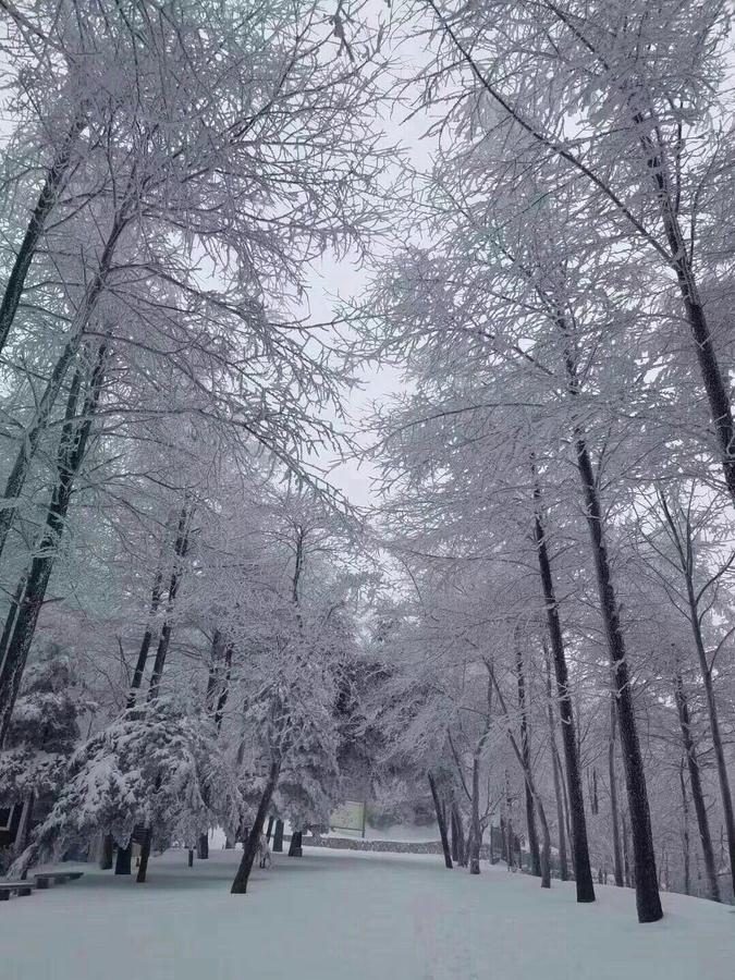 Mogan Mountain Xiaomusensen Villa Deqing Екстериор снимка