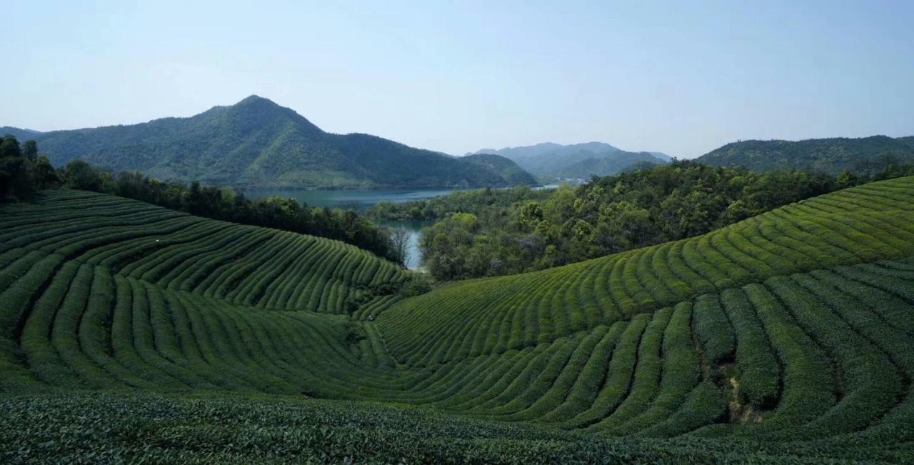 Mogan Mountain Xiaomusensen Villa Deqing Екстериор снимка